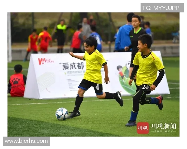 松鼠球星：从草地小将到绿茵场传奇的励志成长故事